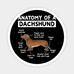 Funny Anatomy Dachshund Wiener Dog Cute Doxie Lover Magnet